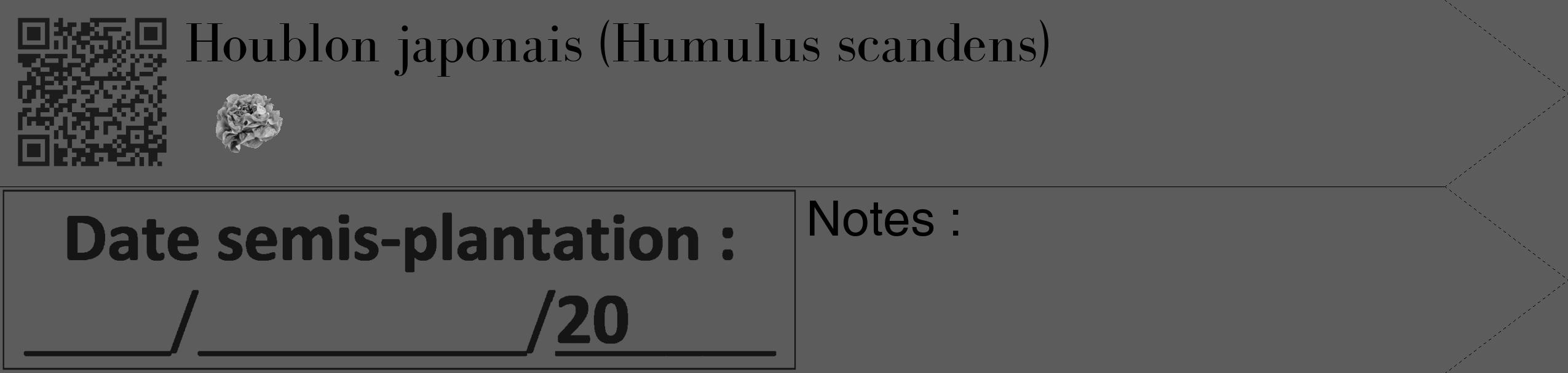 Étiquette de : Humulus scandens - format c - style noire49_simple_simplebod avec qrcode et comestibilité simplifiée