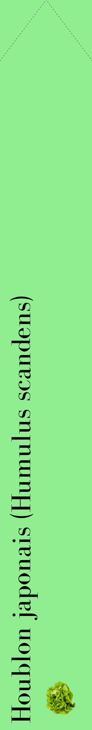 Étiquette de : Humulus scandens - format c - style noire15_simplebod avec comestibilité simplifiée