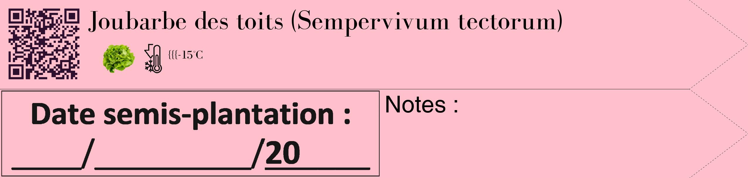Étiquette de : Sempervivum tectorum - format c - style noire40_simple_simplebod avec qrcode et comestibilité simplifiée