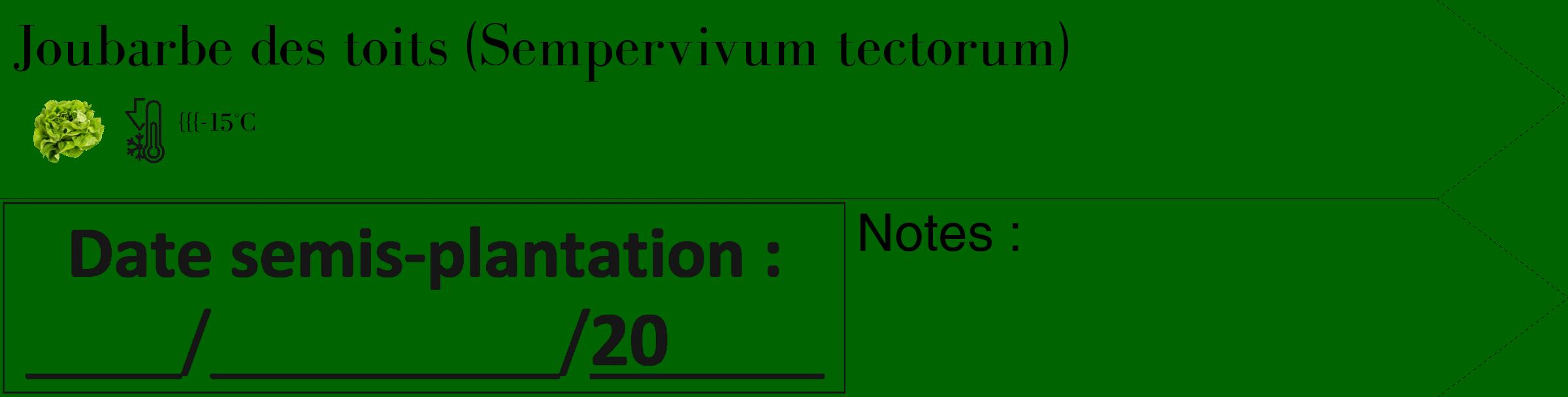 Étiquette de : Sempervivum tectorum - format c - style noire8_simple_simplebod avec comestibilité simplifiée