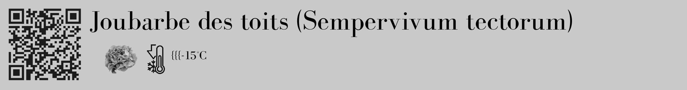 Étiquette de : Sempervivum tectorum - format c - style noire54_basique_basiquebod avec qrcode et comestibilité simplifiée