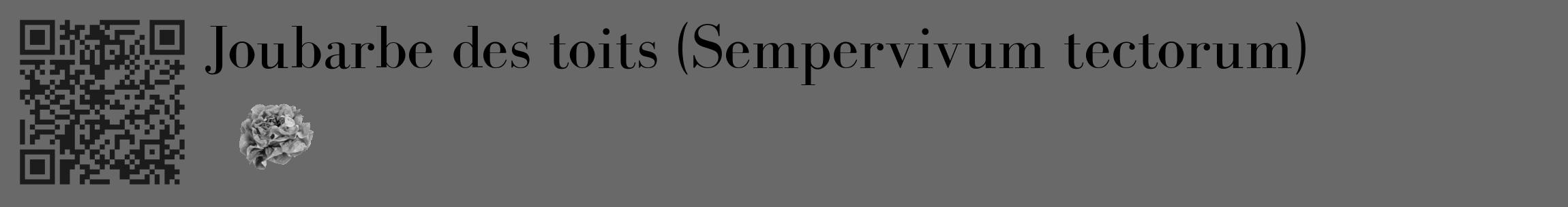 Étiquette de : Sempervivum tectorum - format c - style noire11_basique_basiquebod avec qrcode et comestibilité simplifiée