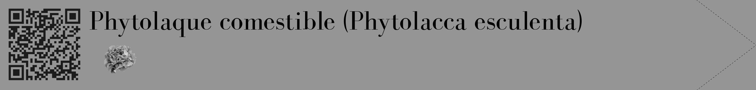 Étiquette de : Phytolacca esculenta - format c - style noire16_simple_simplebod avec qrcode et comestibilité simplifiée
