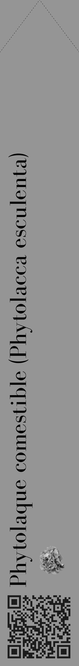 Étiquette de : Phytolacca esculenta - format c - style noire16_simple_simplebod avec qrcode et comestibilité simplifiée - position verticale