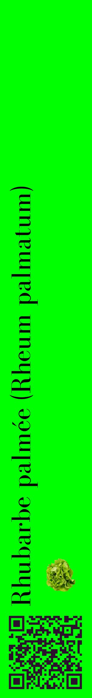 Étiquette de : Rheum palmatum - format c - style noire16_basiquebod avec qrcode et comestibilité simplifiée