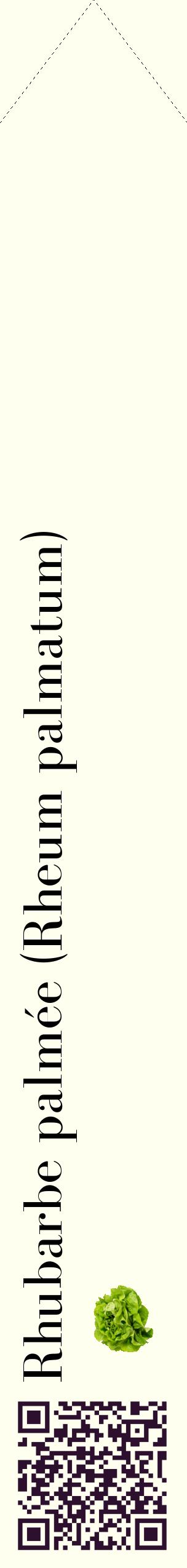 Étiquette de : Rheum palmatum - format c - style noire19_simplebod avec qrcode et comestibilité simplifiée