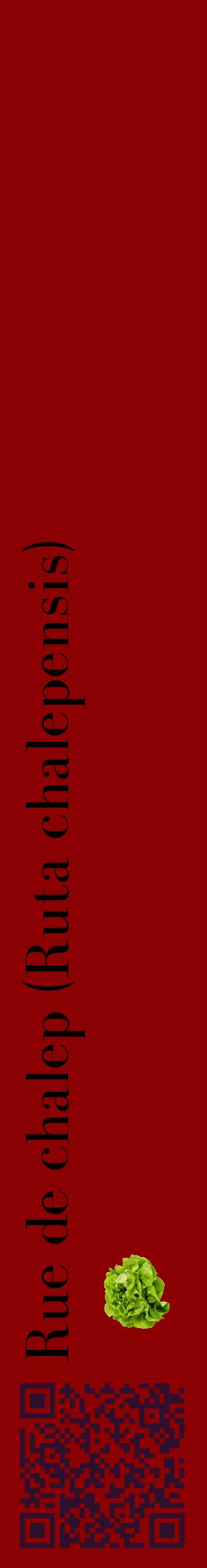 Étiquette de : Ruta chalepensis - format c - style noire34_basiquebod avec qrcode et comestibilité simplifiée