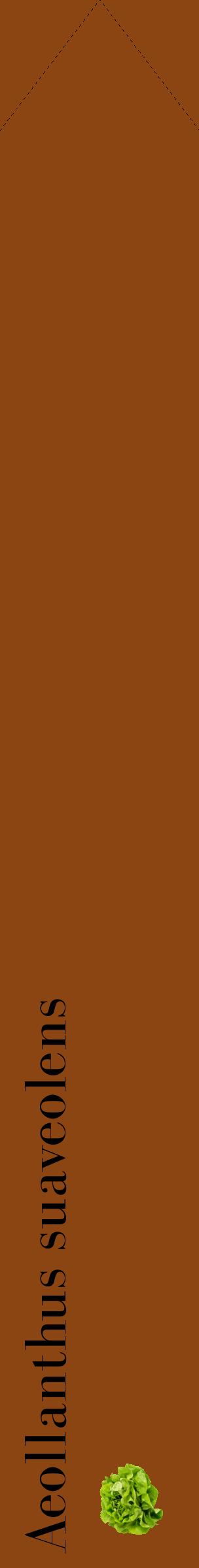 Étiquette de : Aeollanthus suaveolens - format c - style noire30_simplebod avec comestibilité simplifiée