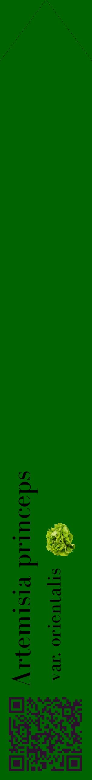 Étiquette de : Artemisia princeps var. orientalis - format c - style noire8_simplebod avec qrcode et comestibilité simplifiée