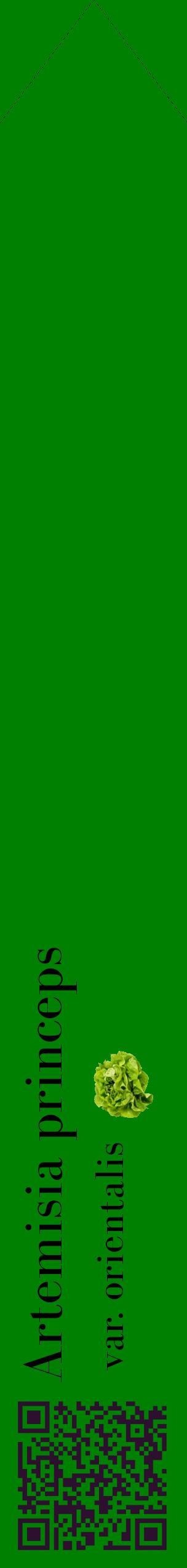 Étiquette de : Artemisia princeps var. orientalis - format c - style noire9_simplebod avec qrcode et comestibilité simplifiée