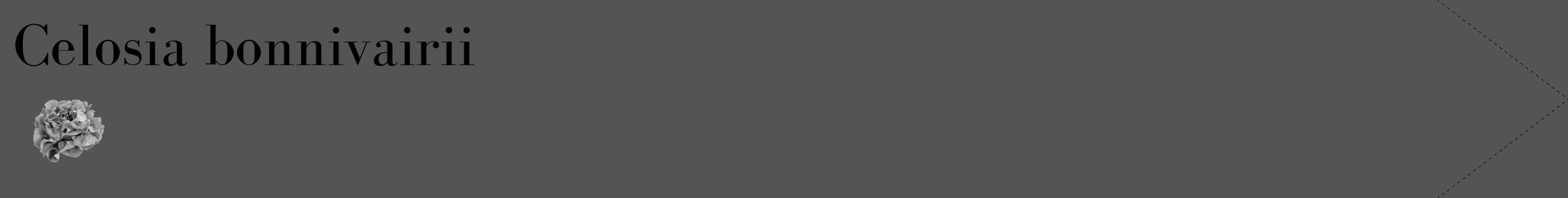 Étiquette de : Celosia bonnivairii - format c - style noire36_simple_simplebod avec comestibilité simplifiée