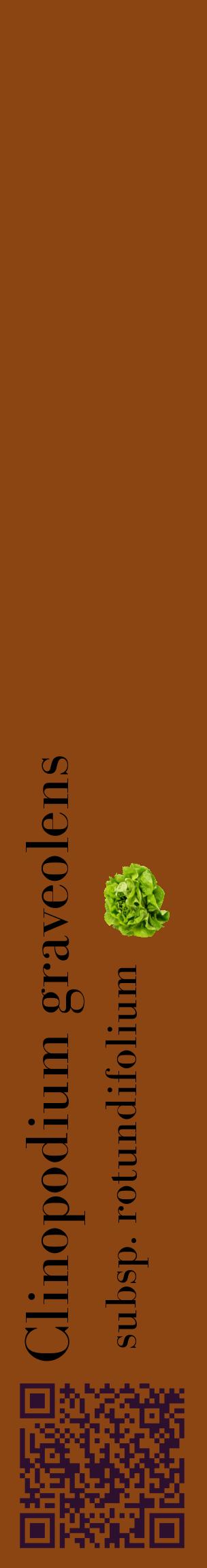 Étiquette de : Clinopodium graveolens subsp. rotundifolium - format c - style noire30_basiquebod avec qrcode et comestibilité simplifiée