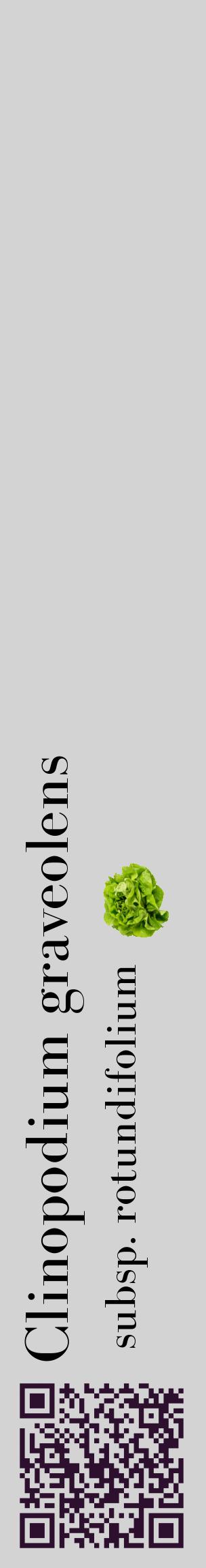 Étiquette de : Clinopodium graveolens subsp. rotundifolium - format c - style noire56_basiquebod avec qrcode et comestibilité simplifiée
