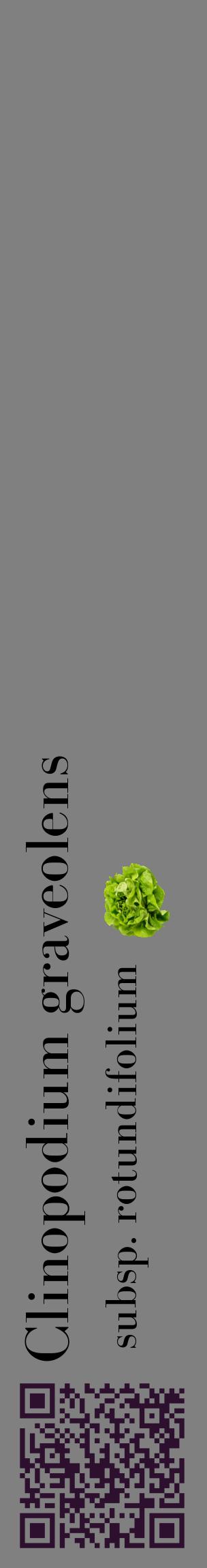 Étiquette de : Clinopodium graveolens subsp. rotundifolium - format c - style noire57_basiquebod avec qrcode et comestibilité simplifiée