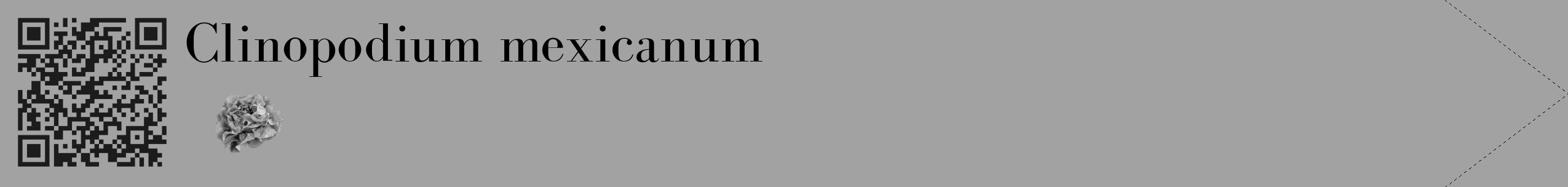 Étiquette de : Clinopodium mexicanum - format c - style noire38_simple_simplebod avec qrcode et comestibilité simplifiée