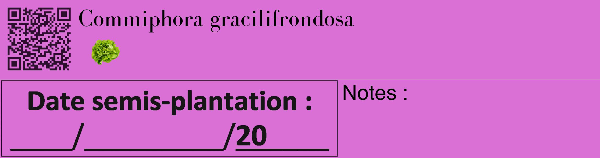 Étiquette de : Commiphora gracilifrondosa - format c - style noire52_basique_basiquebod avec qrcode et comestibilité simplifiée