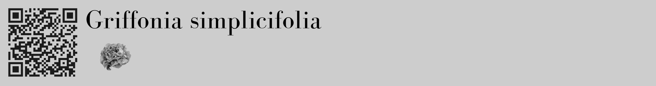 Étiquette de : Griffonia simplicifolia - format c - style noire41_basique_basiquebod avec qrcode et comestibilité simplifiée