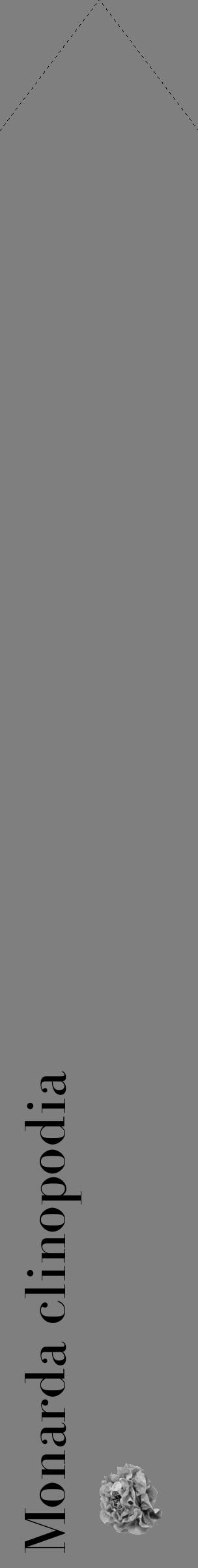 Étiquette de : Monarda clinopodia - format c - style noire31_simple_simplebod avec comestibilité simplifiée - position verticale