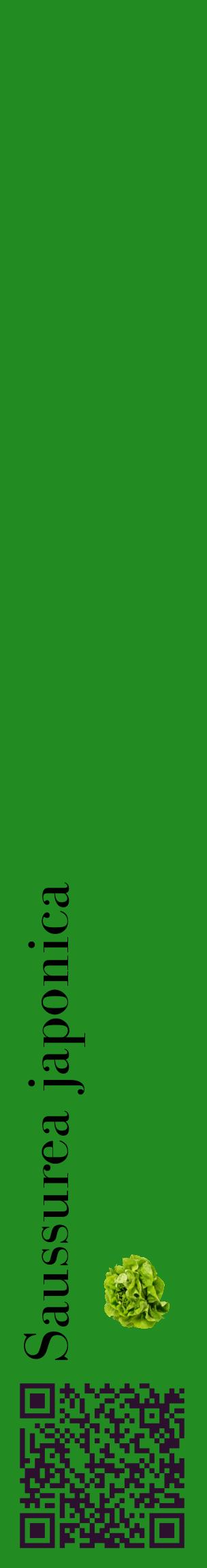 Étiquette de : Saussurea japonica - format c - style noire10_basiquebod avec qrcode et comestibilité simplifiée