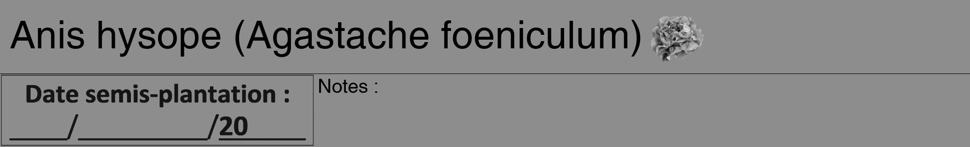 Étiquette de : Agastache foeniculum - format a - style noire2hel avec comestibilité simplifiée