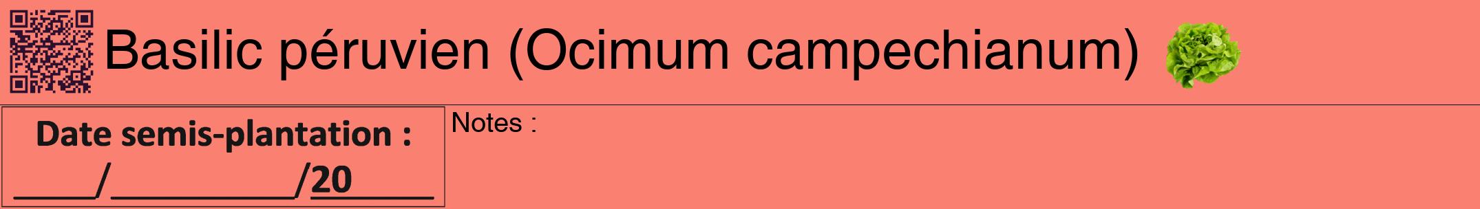 Étiquette de : Ocimum campechianum - format a - style noire38hel avec qrcode et comestibilité simplifiée