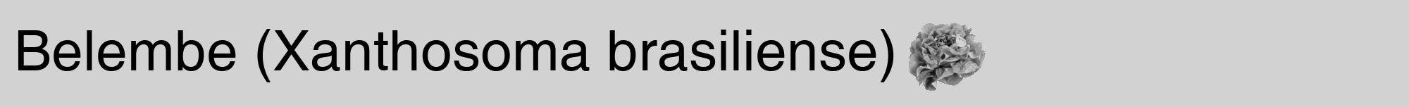 Étiquette de : Xanthosoma brasiliense - format a - style noire14hel avec comestibilité simplifiée