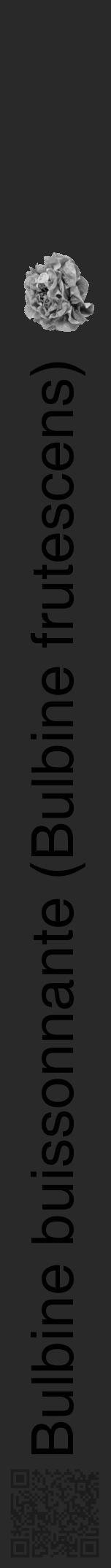 Étiquette de : Bulbine frutescens - format a - style noire34hel avec qrcode et comestibilité simplifiée - position verticale