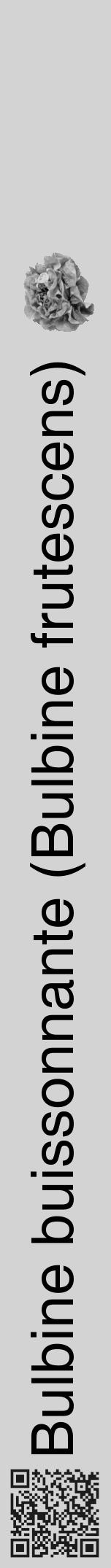 Étiquette de : Bulbine frutescens - format a - style noire56hel avec qrcode et comestibilité simplifiée - position verticale