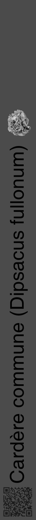 Étiquette de : Dipsacus fullonum - format a - style noire9basiquehel avec qrcode et comestibilité simplifiée - position verticale