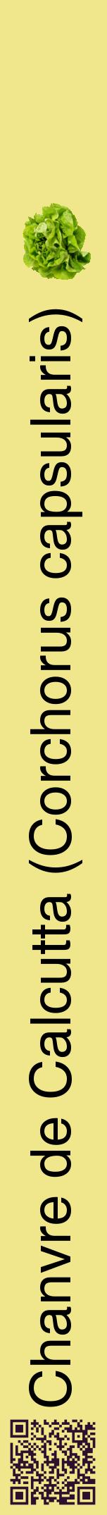 Étiquette de : Corchorus capsularis - format a - style noire20hel avec qrcode et comestibilité simplifiée