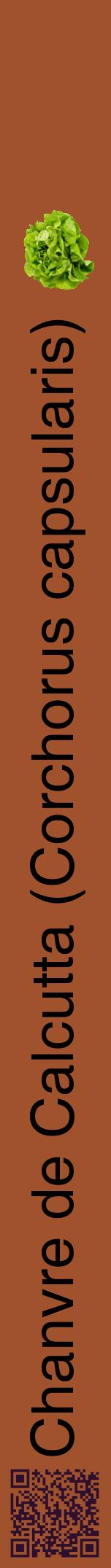 Étiquette de : Corchorus capsularis - format a - style noire32hel avec qrcode et comestibilité simplifiée