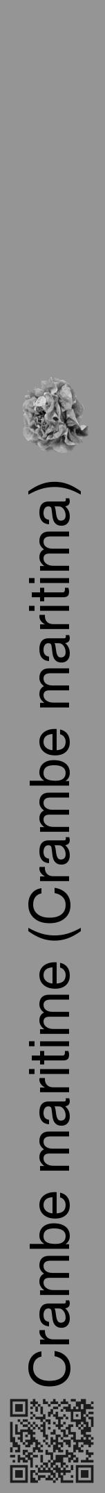 Étiquette de : Crambe maritima - format a - style noire16hel avec qrcode et comestibilité simplifiée - position verticale