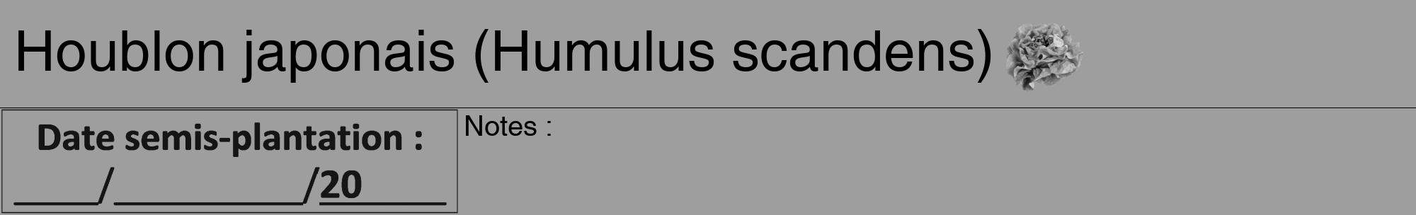 Étiquette de : Humulus scandens - format a - style noire42hel avec comestibilité simplifiée