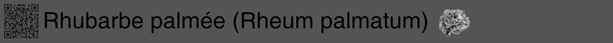 Étiquette de : Rheum palmatum - format a - style noire36hel avec qrcode et comestibilité simplifiée