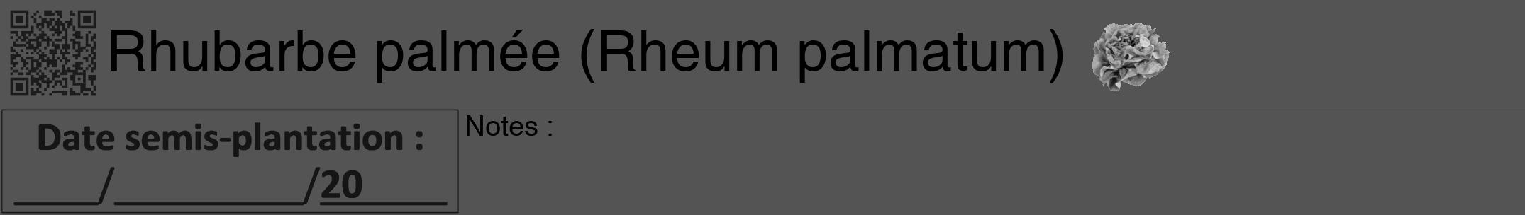 Étiquette de : Rheum palmatum - format a - style noire36hel avec qrcode et comestibilité simplifiée