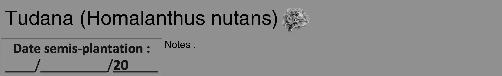 Étiquette de : Homalanthus nutans - format a - style noire4hel avec comestibilité simplifiée