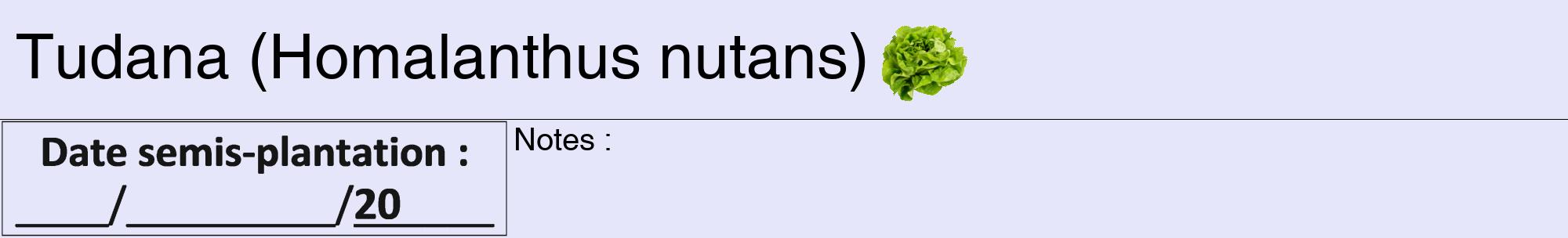 Étiquette de : Homalanthus nutans - format a - style noire55basiquehel avec comestibilité simplifiée