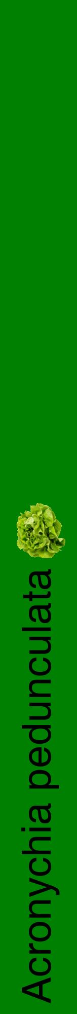 Étiquette de : Acronychia pedunculata - format a - style noire9hel avec comestibilité simplifiée
