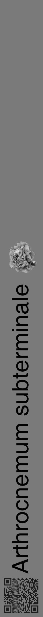 Étiquette de : Arthrocnemum subterminale - format a - style noire3basiquehel avec qrcode et comestibilité simplifiée - position verticale