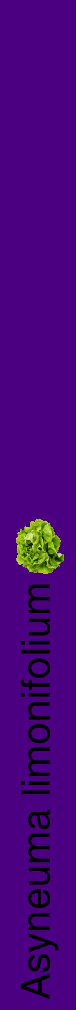 Étiquette de : Asyneuma limonifolium - format a - style noire47hel avec comestibilité simplifiée