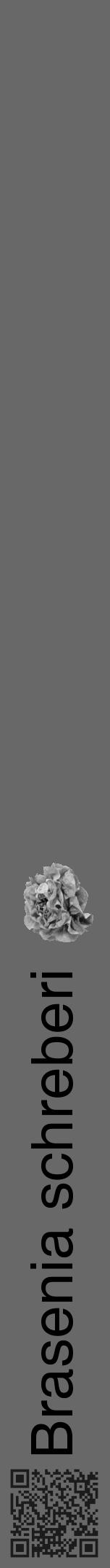Étiquette de : Brasenia schreberi - format a - style noire6hel avec qrcode et comestibilité simplifiée - position verticale
