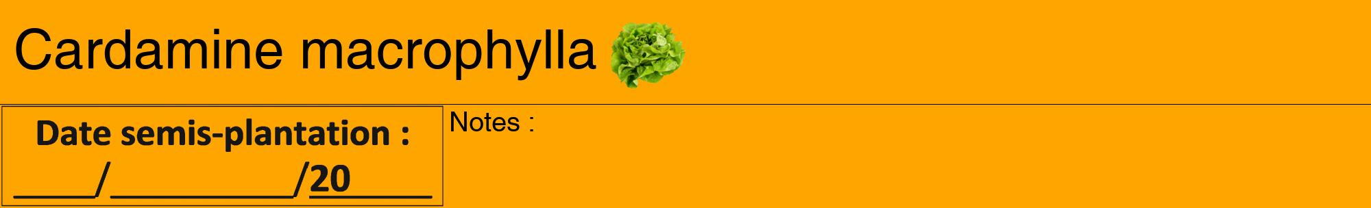 Étiquette de : Cardamine macrophylla - format a - style noire22hel avec comestibilité simplifiée