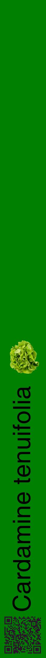Étiquette de : Cardamine tenuifolia - format a - style noire9hel avec qrcode et comestibilité simplifiée