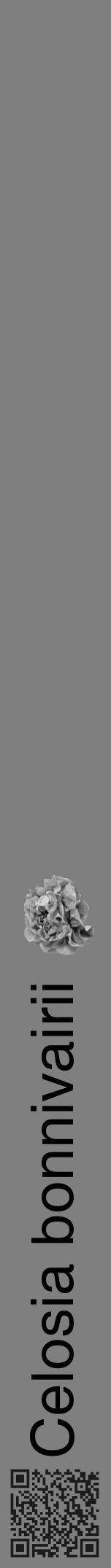 Étiquette de : Celosia bonnivairii - format a - style noire31hel avec qrcode et comestibilité simplifiée - position verticale