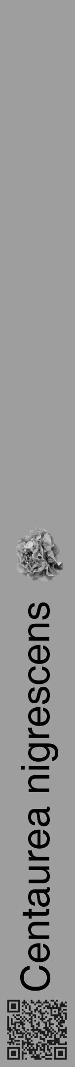 Étiquette de : Centaurea nigrescens - format a - style noire42hel avec qrcode et comestibilité simplifiée - position verticale