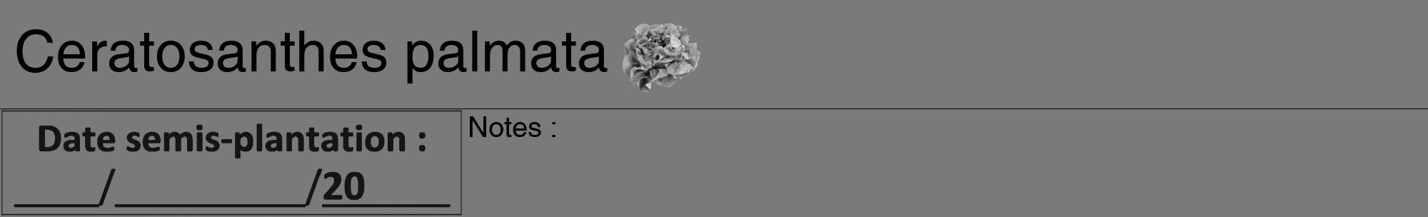 Étiquette de : Ceratosanthes palmata - format a - style noire3hel avec comestibilité simplifiée