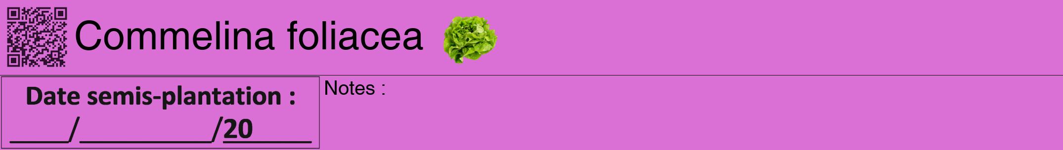 Étiquette de : Commelina foliacea - format a - style noire52hel avec qrcode et comestibilité simplifiée