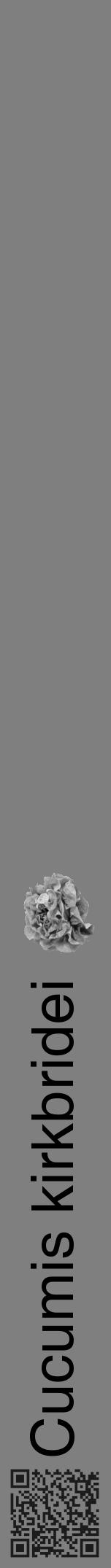 Étiquette de : Cucumis kirkbridei - format a - style noire31hel avec qrcode et comestibilité simplifiée - position verticale