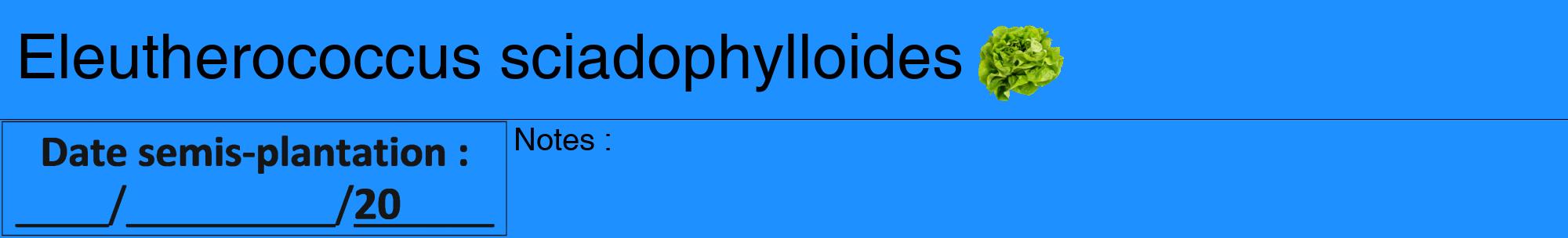 Étiquette de : Eleutherococcus sciadophylloides - format a - style noire3hel avec comestibilité simplifiée