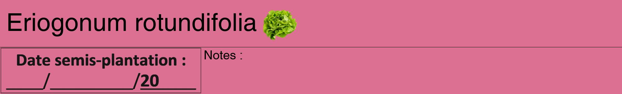 Étiquette de : Eriogonum rotundifolia - format a - style noire44hel avec comestibilité simplifiée